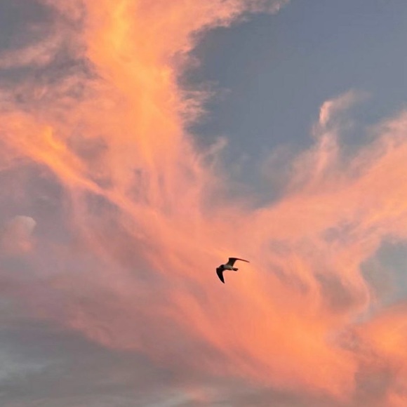 Meet your Posher, Yi - Picture 1 of 1